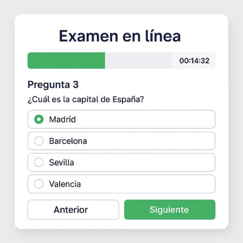 Exam platform interface